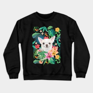 Tropical Short Haired White Chihuahua 4 Crewneck Sweatshirt